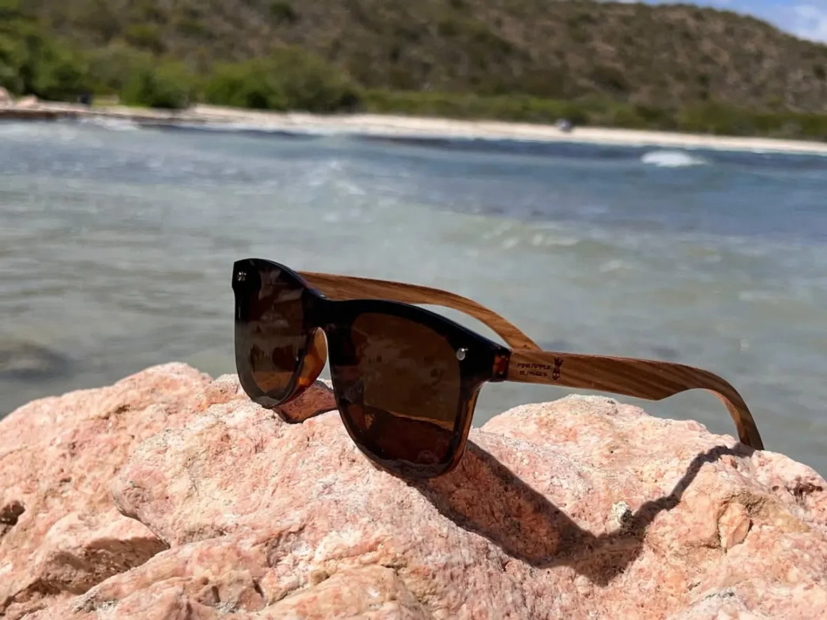 lentes1